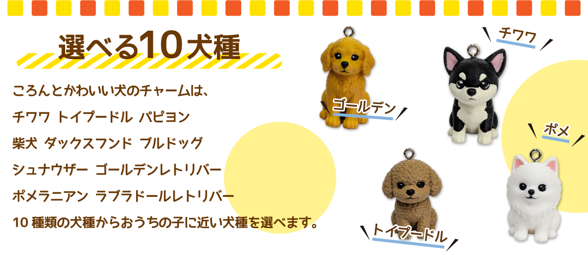 ドッグフェスティバル1