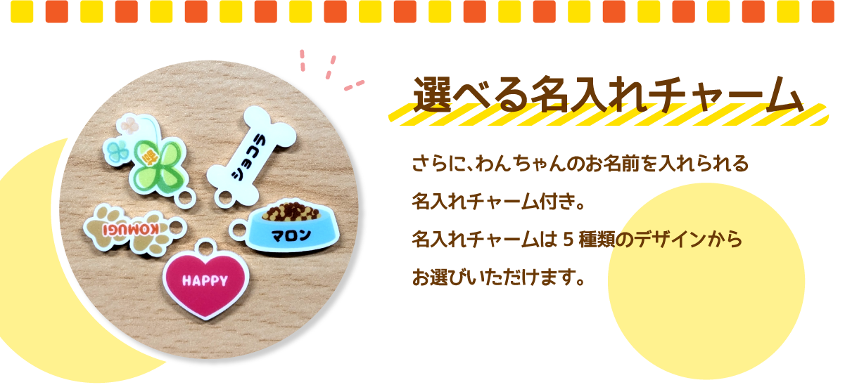 ドッグフェスティバル1