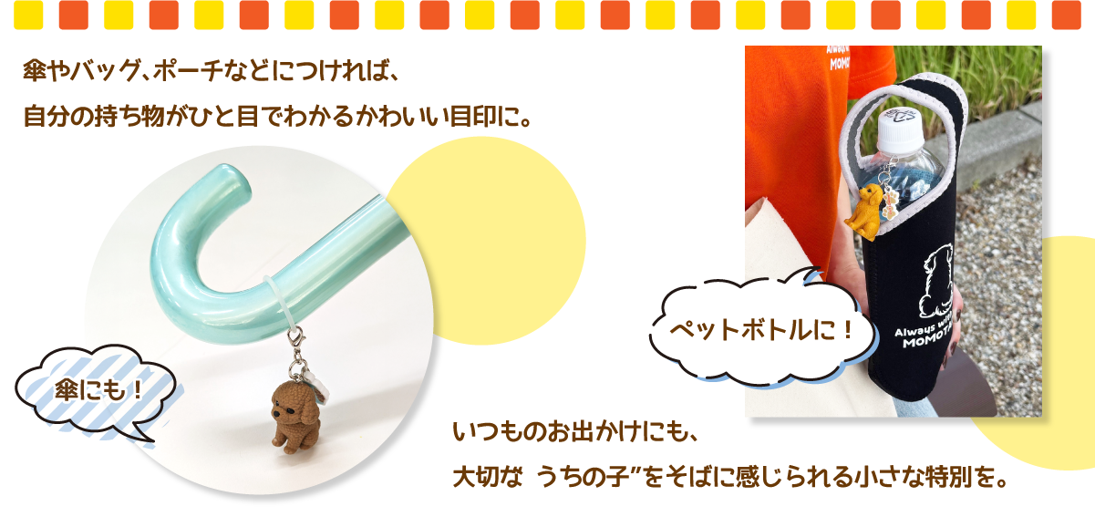 ドッグフェスティバル1