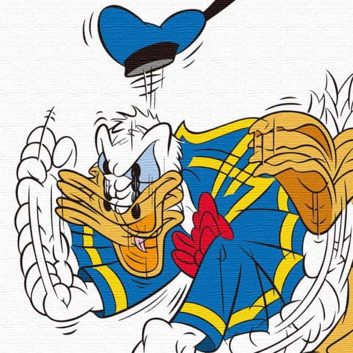 ドナルドダック Mサイズ 30cm 30cm ディズニー アートパネル ファブリックパネル アートボード インテリアパネル 壁掛け 日本製 ラッピング付き Lib Dsn 01 Lib Dsn 0198 M デザインスタイル 通販 Yahoo ショッピング