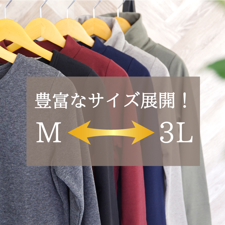 あったかインナー 裏起毛 長袖 Tシャツ レディース 裏シャギー 大きいサイズ 大きめ 暖か 下着 人気 エコ暖 M L 2L 3L |  | 19