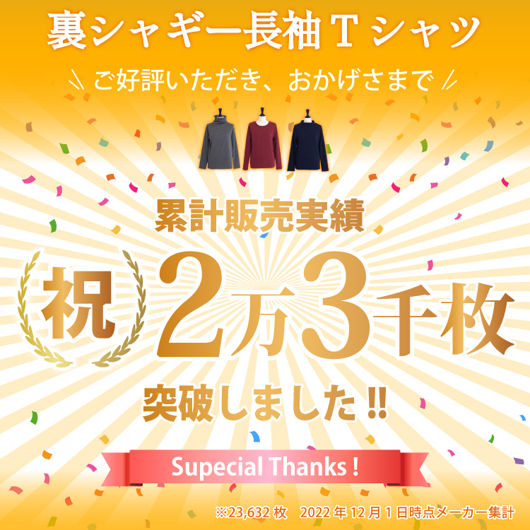 あったかインナー 裏起毛 長袖 Tシャツ レディース 裏シャギー 大きいサイズ 大きめ 暖か 下着 人気 エコ暖 M L 2L 3L |  | 20