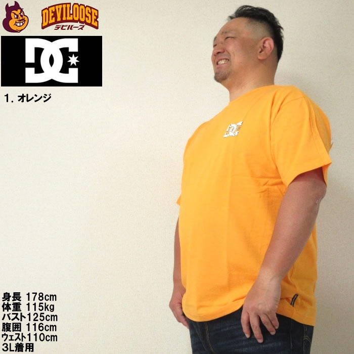 DC SHOES（ディーシーシューズ） 大きいサイズ メンズ DCSHOES 24 BORN