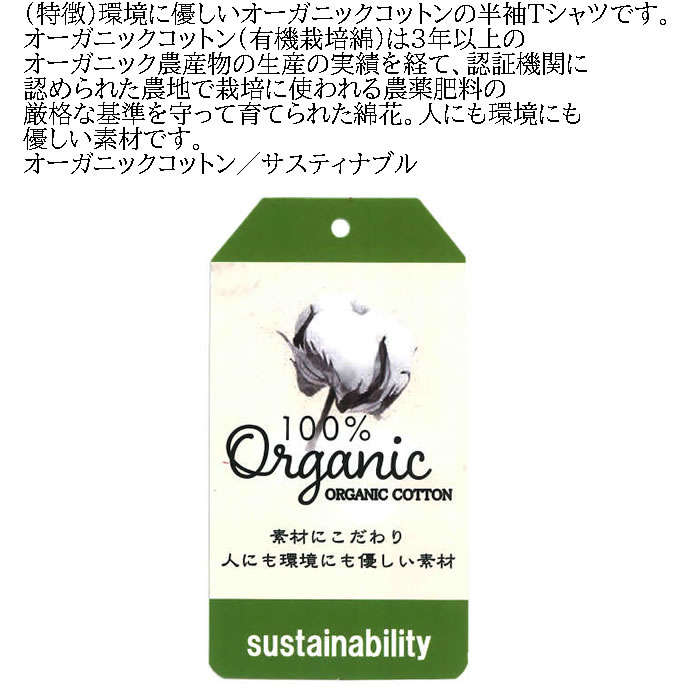 大きいサイズ メンズ Mc.S.P オーガニック コットン ボーダー クルーネック 半袖 Tシャツ（メーカー取寄）3L 4L 5L 6L 7L 8L キングサイズ ビッグサイズ |  | 09