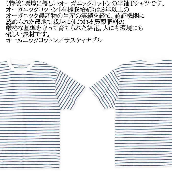 大きいサイズ メンズ Mc.S.P オーガニック コットン ボーダー クルーネック 半袖 Tシャツ（メーカー取寄）3L 4L 5L 6L 7L 8L キングサイズ ビッグサイズ |  | 07
