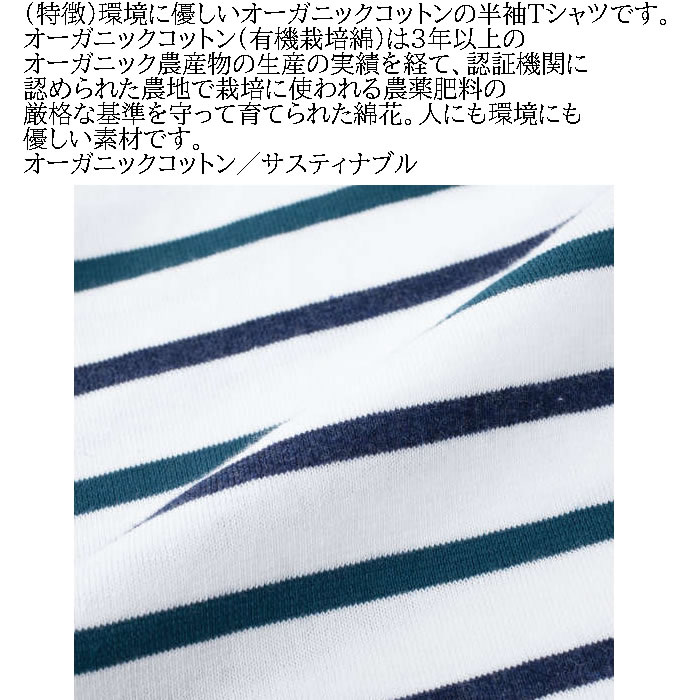 大きいサイズ メンズ Mc.S.P オーガニック コットン ボーダー クルーネック 半袖 Tシャツ（メーカー取寄）3L 4L 5L 6L 7L 8L キングサイズ ビッグサイズ |  | 08