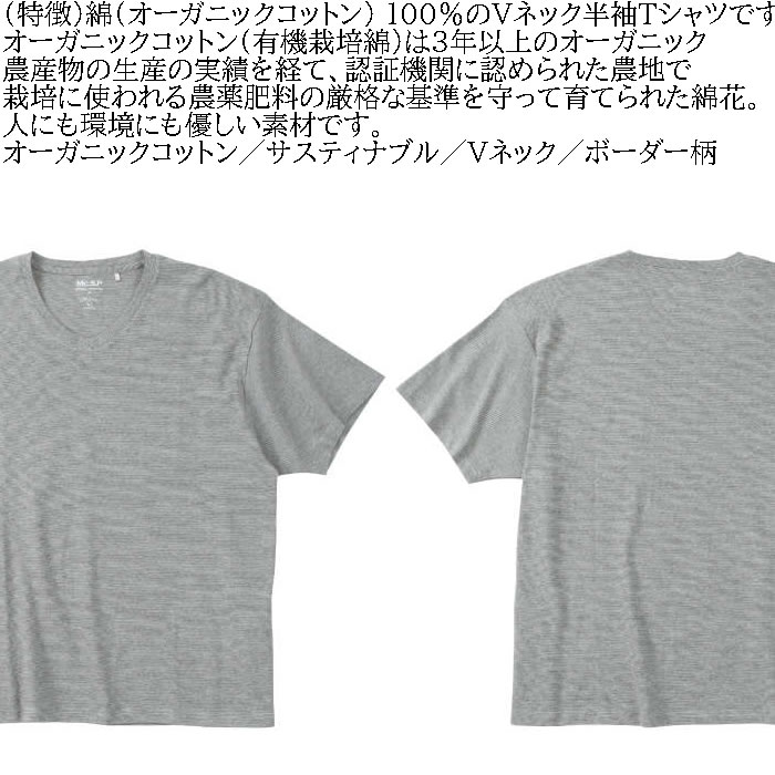大きいサイズ メンズ Mc.S.P オーガニックコットン ミジン ボーダー Vネック 半袖 Tシャツ（メーカー取寄）3L 4L 5L 6L 7L 8L オーガニック コットン 綿 キング |  | 04