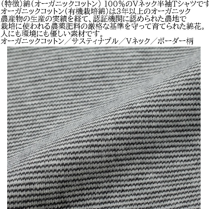 大きいサイズ メンズ Mc.S.P オーガニックコットン ミジン ボーダー Vネック 半袖 Tシャツ（メーカー取寄）3L 4L 5L 6L 7L 8L オーガニック コットン 綿 キング |  | 05
