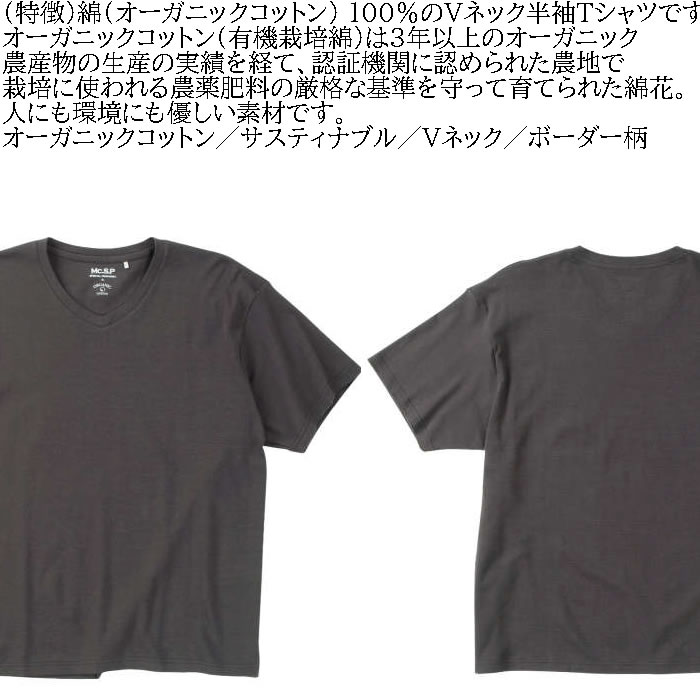 大きいサイズ メンズ Mc.S.P オーガニックコットン ミジン ボーダー Vネック 半袖 Tシャツ（メーカー取寄）3L 4L 5L 6L 7L 8L オーガニック コットン 綿 キング |  | 06