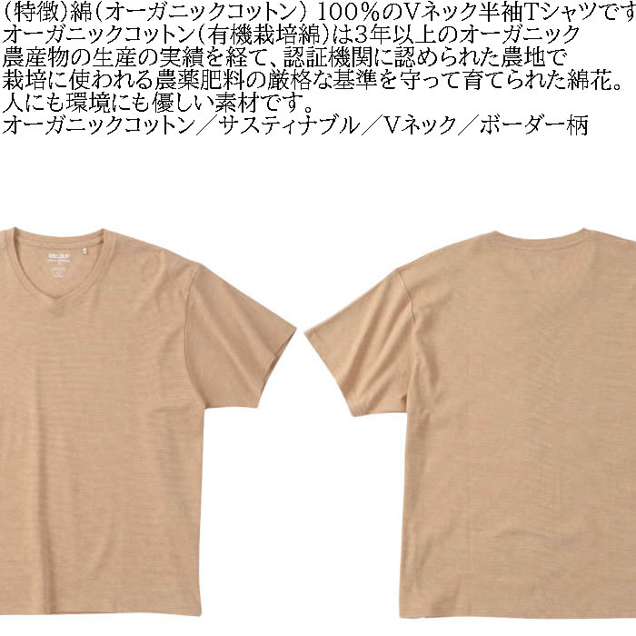 大きいサイズ メンズ Mc.S.P オーガニックコットン ミジン ボーダー Vネック 半袖 Tシャツ（メーカー取寄）3L 4L 5L 6L 7L 8L オーガニック コットン 綿 キング |  | 07