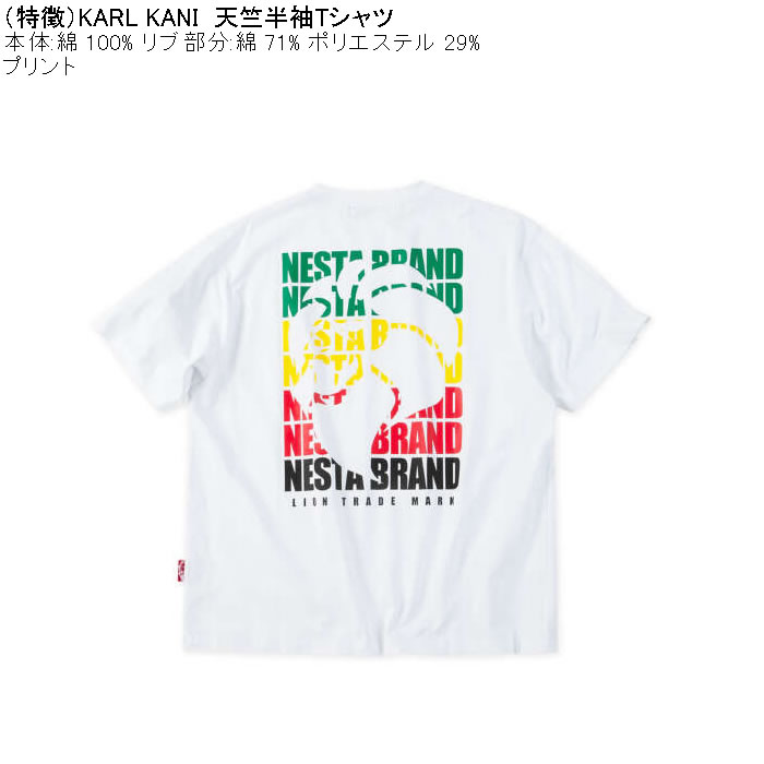 大きいサイズ メンズ NESTA BRAND 天竺 半袖 Tシャツ（メーカー取寄）綿 コットン ネスタブランド 3L 4L 5L 6L 8L | NESTA BRAND | 05