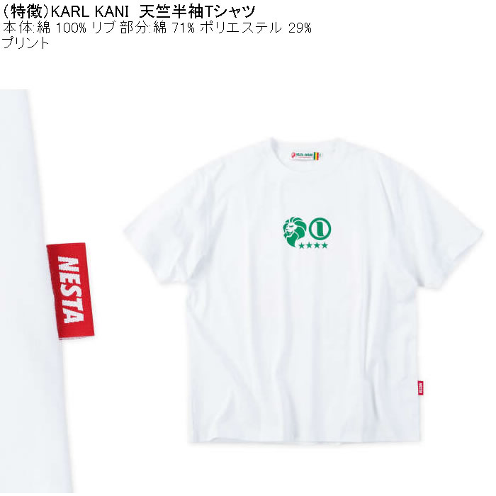 大きいサイズ メンズ NESTA BRAND 天竺 半袖 Tシャツ（メーカー取寄）綿 コットン ネスタブランド 3L 4L 5L 6L 8L | NESTA BRAND | 06