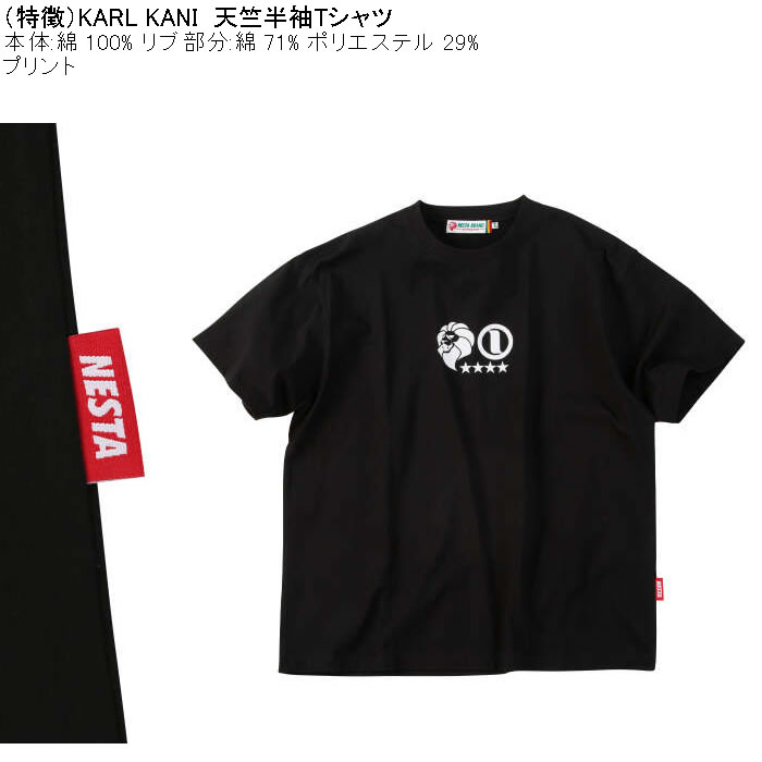 大きいサイズ メンズ NESTA BRAND 天竺 半袖 Tシャツ（メーカー取寄）綿 コットン ネスタブランド 3L 4L 5L 6L 8L | NESTA BRAND | 08