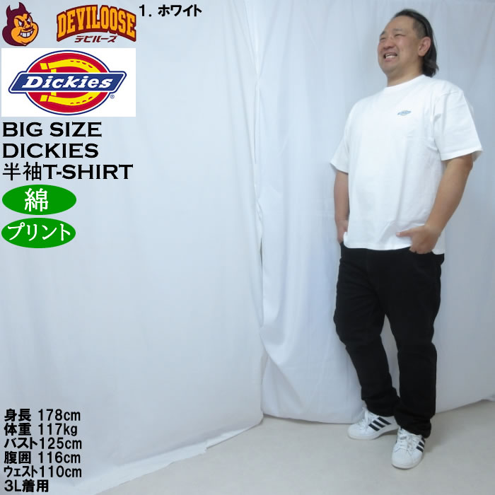 大きいサイズ メンズ DICKIES ハンドドローイング半袖Tシャツ 綿 コットン（メーカー取寄）ディッキーズ 3L 4L 5L | Dickies | 11