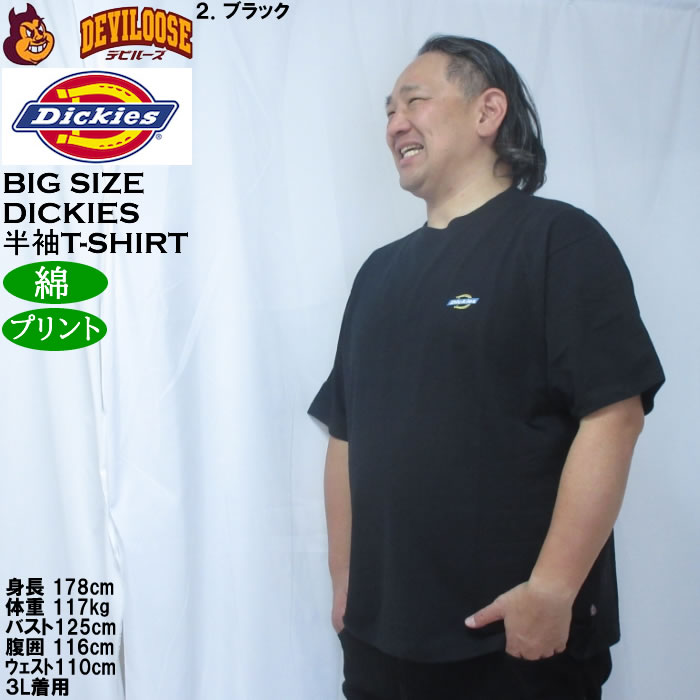 大きいサイズ メンズ DICKIES ハンドドローイング半袖Tシャツ 綿 コットン（メーカー取寄）ディッキーズ 3L 4L 5L | Dickies | 14