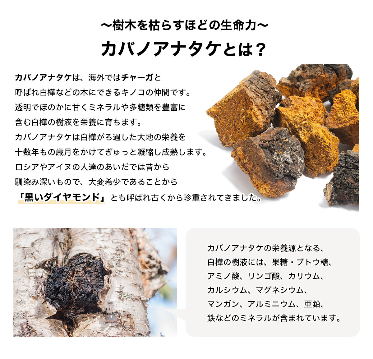 正規取扱店】天恵クオリティソープ 80g 100%植物由来 無添加 化粧
