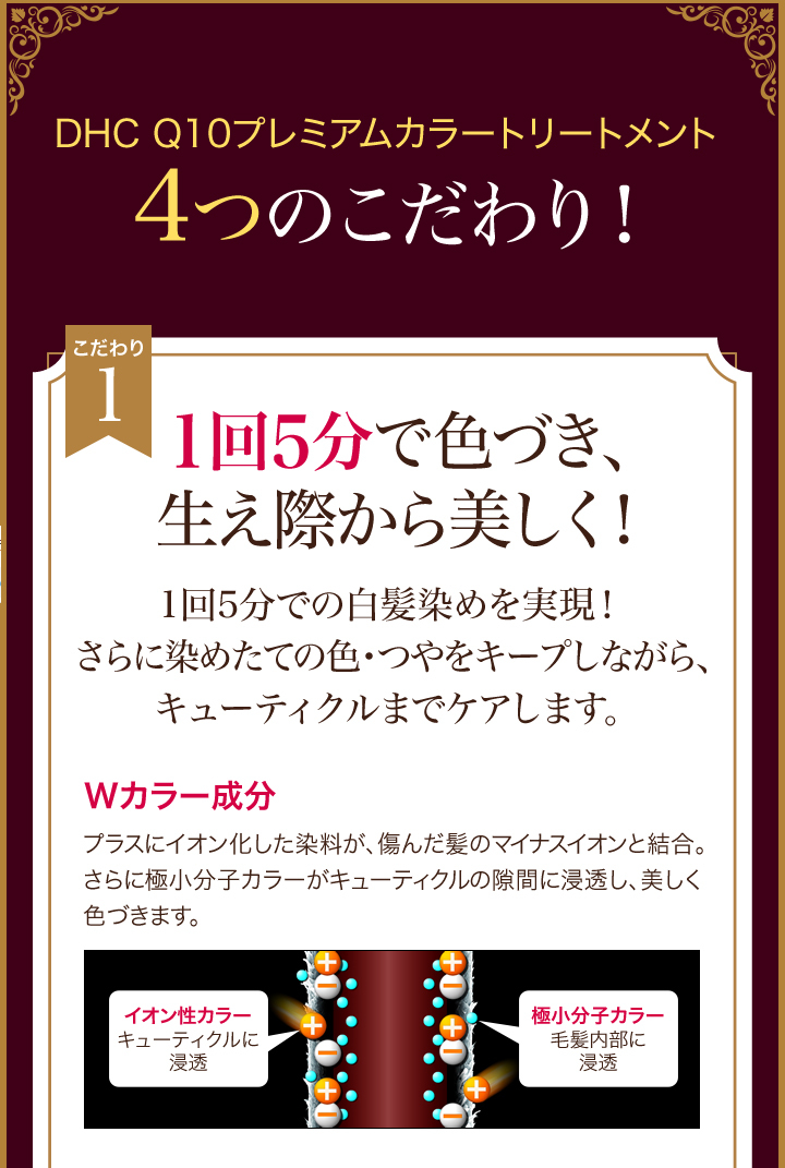 DHC Q10プレミアムカラートリートメント ブラックブラウン DHC