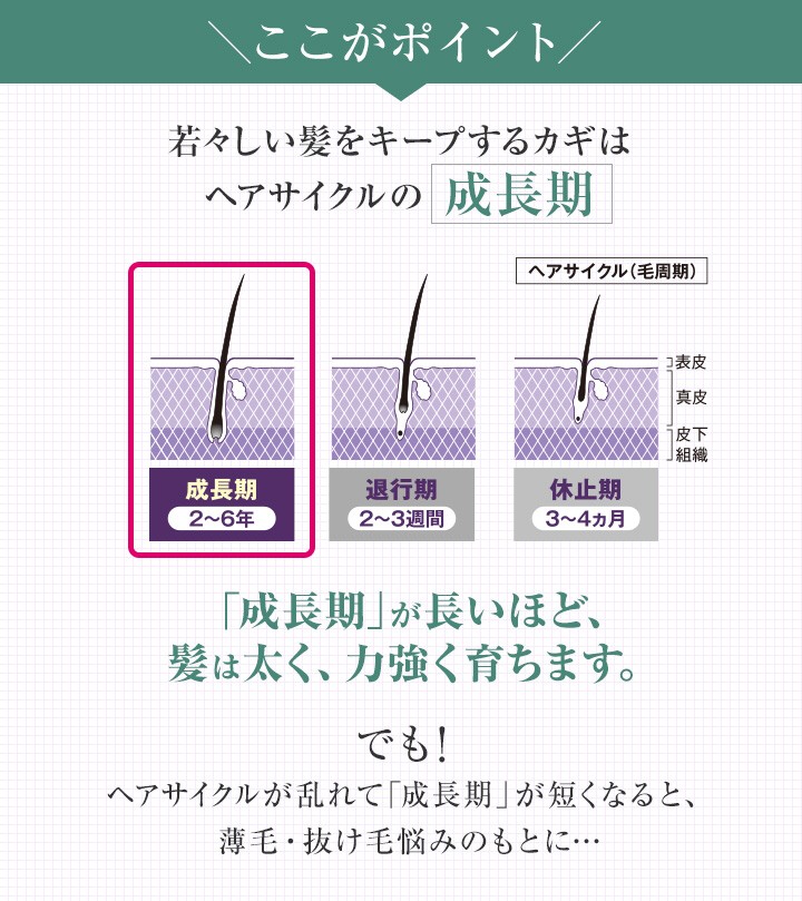 dhc 【送料無料】【 DHC 公式 】DHC薬用美髪根（びはつこん 