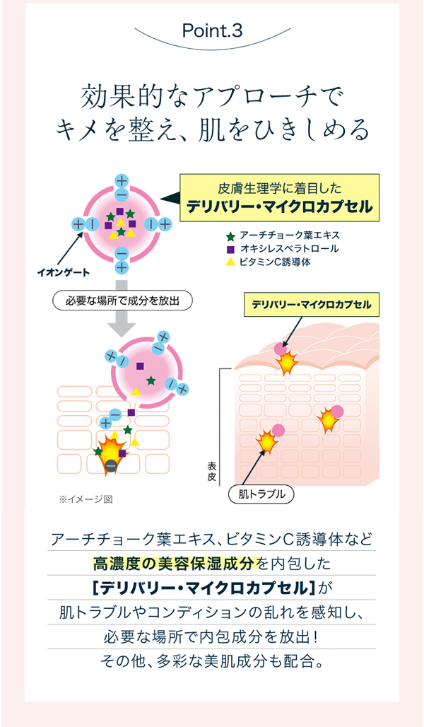 DHC 【 DHC 公式 】DHCポアナオイルブロックデイセラム（日中用・練り