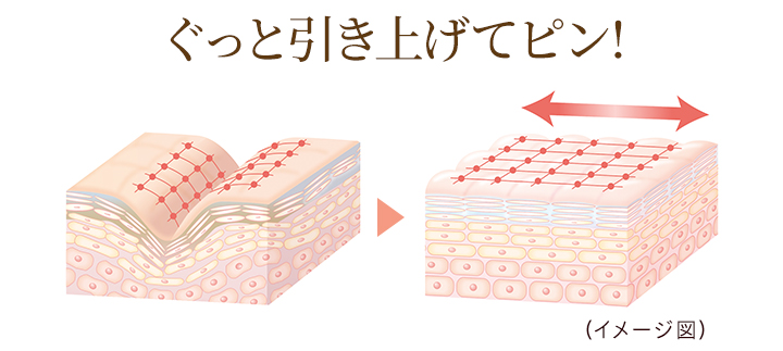 DHC dhc 【 公式 】 DHC薬用リンクルディープターゲット : DHC