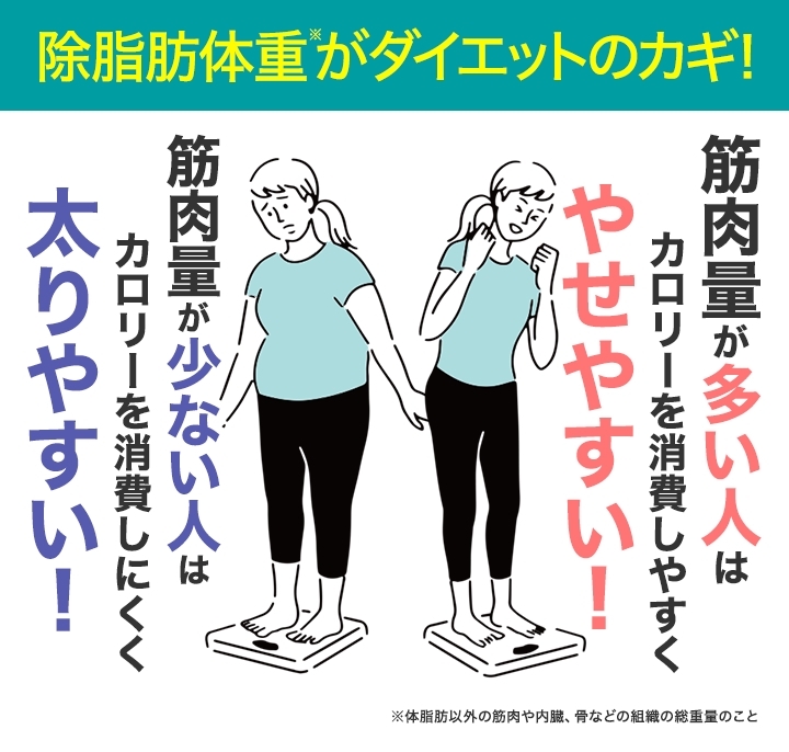 除脂肪体重に着目 メリハリダイエットをサポート ギガランキングｊｐ