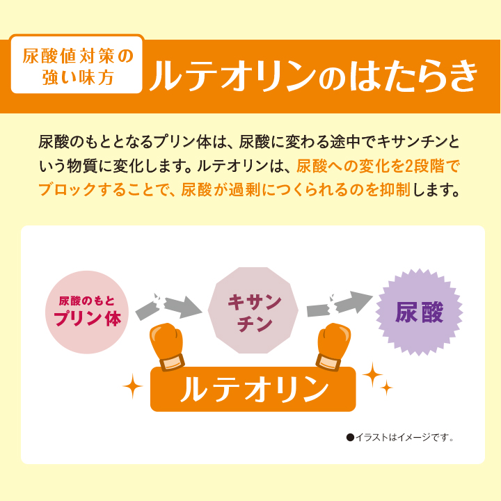 【匿名配送】DHC ルテオリン 尿酸ダウン 20日分×10個 Amazon | DHC(ディー・エイチ・シー) ルテオリン尿酸ダウン 20粒