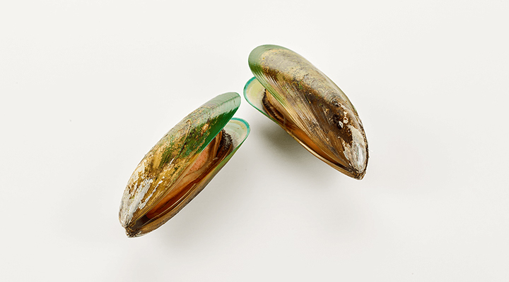 DHC 【 DHC 公式 】ペット用 国産 モエギオイル25 | ペット用品 : DHC