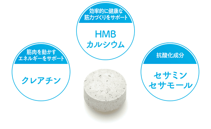 DHC 【 DHC 公式 】 犬用 国産 筋サポドッグ | ペット用品 : DHC Yahoo