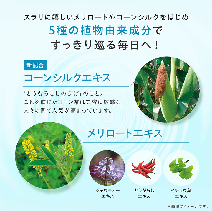 DHC メリロートPlus 30日分 公式 最短即時発送 | ダイエット