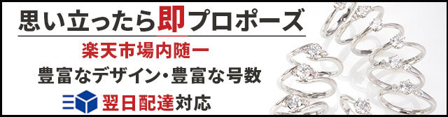 婚約指輪 ダイヤ ティファニーデザイン エンゲージリング 鑑定書付 婚約指輪 普段使い 婚約指輪 安い 婚約指輪 シンプル