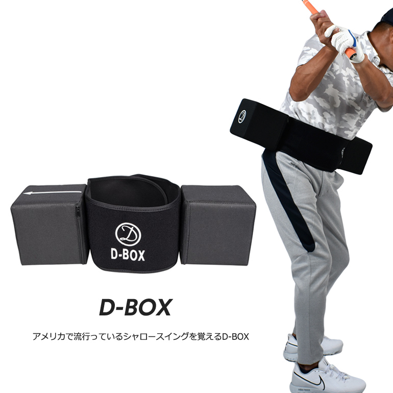 ゴルフ 練習器具 シャロースイング スイング矯正器具 スイングチェック トレーニング器具 D-BOX サンタリート IF-GF0225