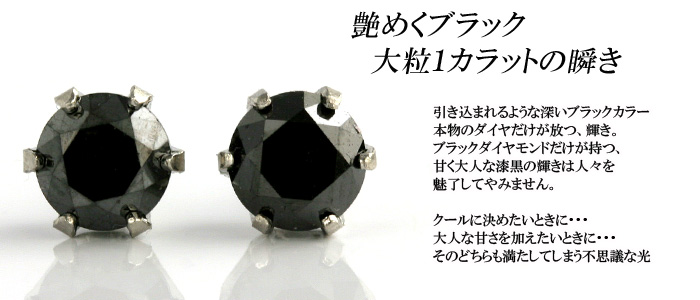 プラチナ900 ブラックダイヤモンド ピアス 1.0ct (トータル2石) 両耳用