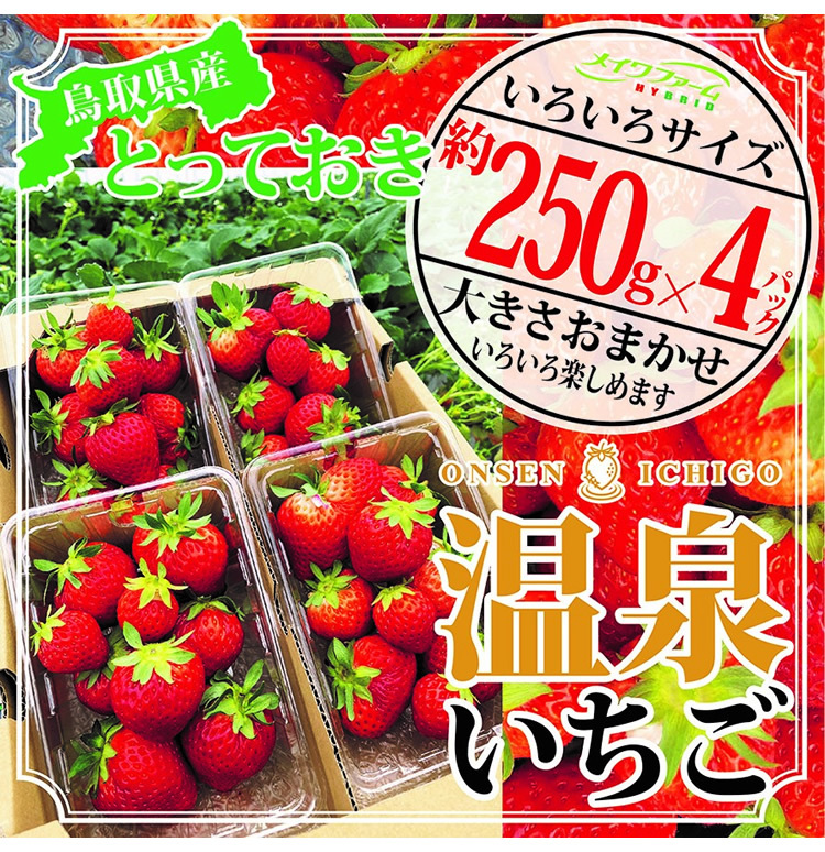 メーカー直送】鳥取県産とっておき「温泉イチゴ」 約250g×4パック 【温泉いちご】【大きさいろいろ】【代引不可】【同梱不可】-000008  :onsenichigo:ダイエットビューティ通販 - 通販 - Yahoo!ショッピング