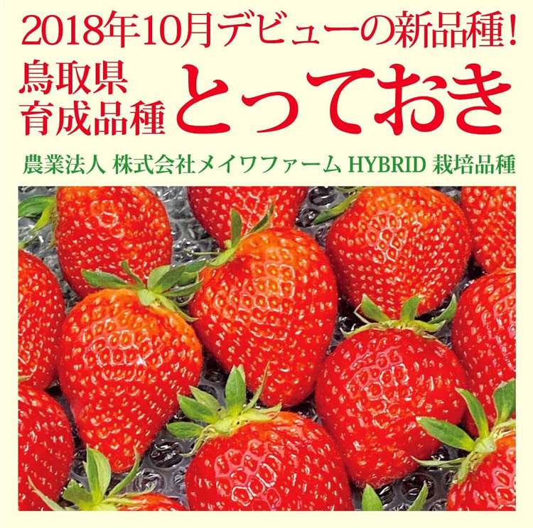 メーカー直送】鳥取県産とっておき「温泉イチゴ」 約250g×4パック 【温泉いちご】【大きさいろいろ】【代引不可】【同梱不可】-000008  :onsenichigo:ダイエットビューティ通販 - 通販 - Yahoo!ショッピング