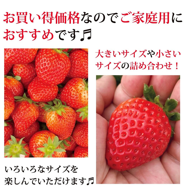 メーカー直送】鳥取県産とっておき「温泉イチゴ」 約250g×4パック 【温泉いちご】【大きさいろいろ】【代引不可】【同梱不可】-000008  :onsenichigo:ダイエットビューティ通販 - 通販 - Yahoo!ショッピング