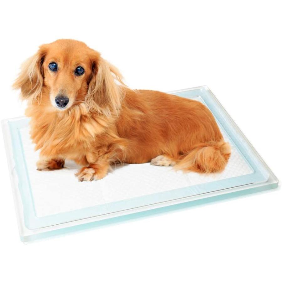 ペットトイレ トレー 犬 アクリル Sサイズ 犬用トイレ トレー クリア 犬トイレ 犬のトイレ 丸洗い 洗える 収納 介護 老犬 バリアフリー 犬の トイレ用品 オシャレ かぐらし インテリアと雑貨 通販 Yahoo ショッピング ペットトイレ トレー 犬 アクリル Sサイズ 犬用トイレ トレー クリア 犬トイレ 犬のトイレ 丸洗い 洗える 収納 介護 老犬 バリアフリー 犬の トイレ用品 オシャレ かぐらし インテリアと雑貨 通販 Yahoo ショッピング