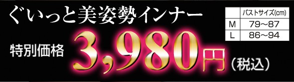 ぐいっと美姿勢インナー　3,980円