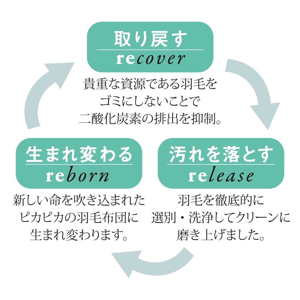 こたつ こたつ布団 カバー 柄 洗える デザイン こたつ掛け 正方形