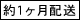 新品100%新品 家具 幅60奥行45高さ180cm 621125 ディノス PayPayモール店 - 通販 - PayPayモール 収納 本棚 ラック シェルフ CDラック DVDラック 鍵付き本棚ハイタイプ 人気定番