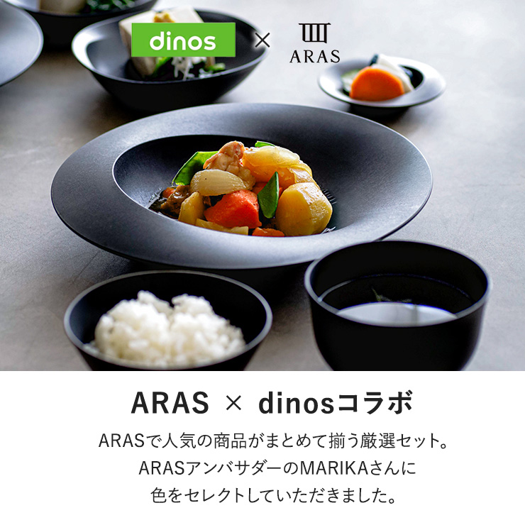 ARAS（エイラス） まとめて揃うディノス大人気18点セット 特典付き