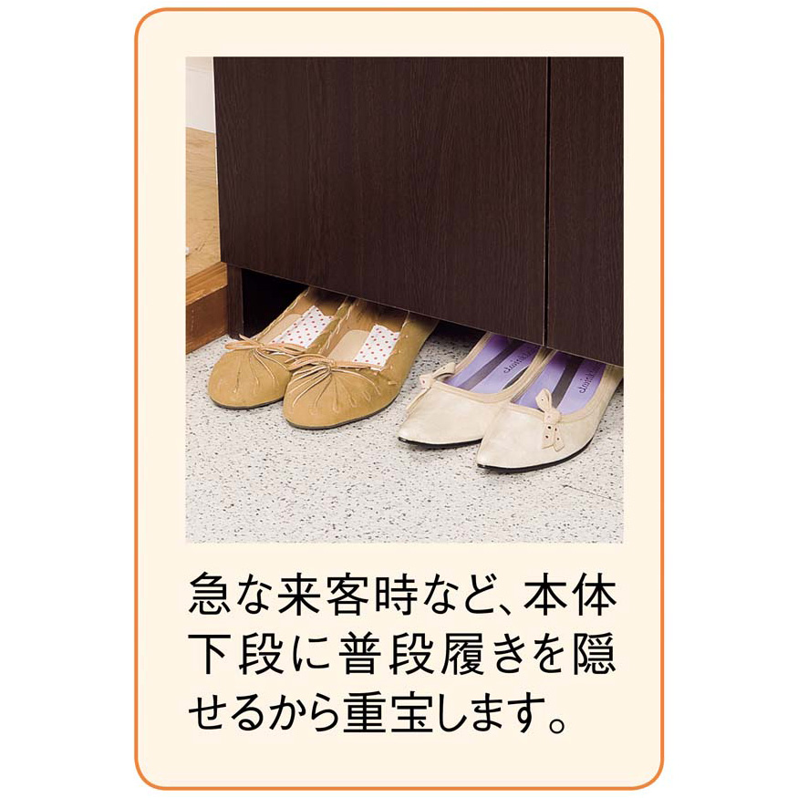 dinos 奥行ゆったりシンプルラインシューズボックス ハイタイプ