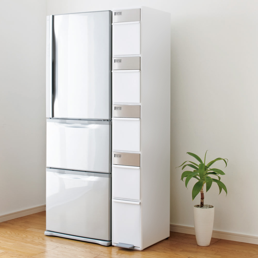 dinos（ディノス） 分別スウィングステーション（ダストボックス） 4段