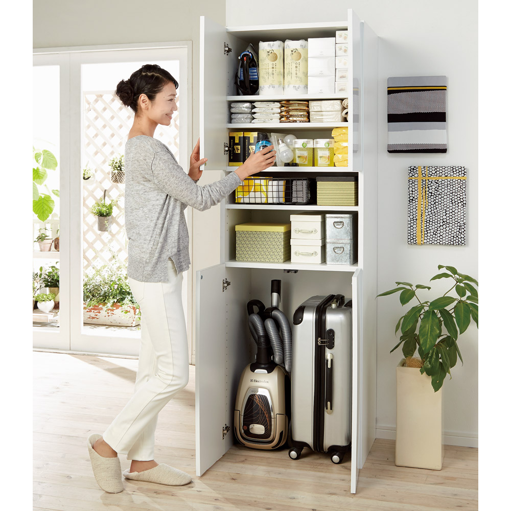 dinos（ディノス） 組立不要 出し入れしやすい（自由に使える）光沢