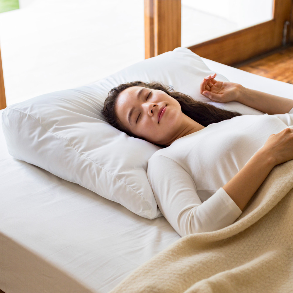 dinos（ディノス） まくら この大きさで背中までサポート ふんわり