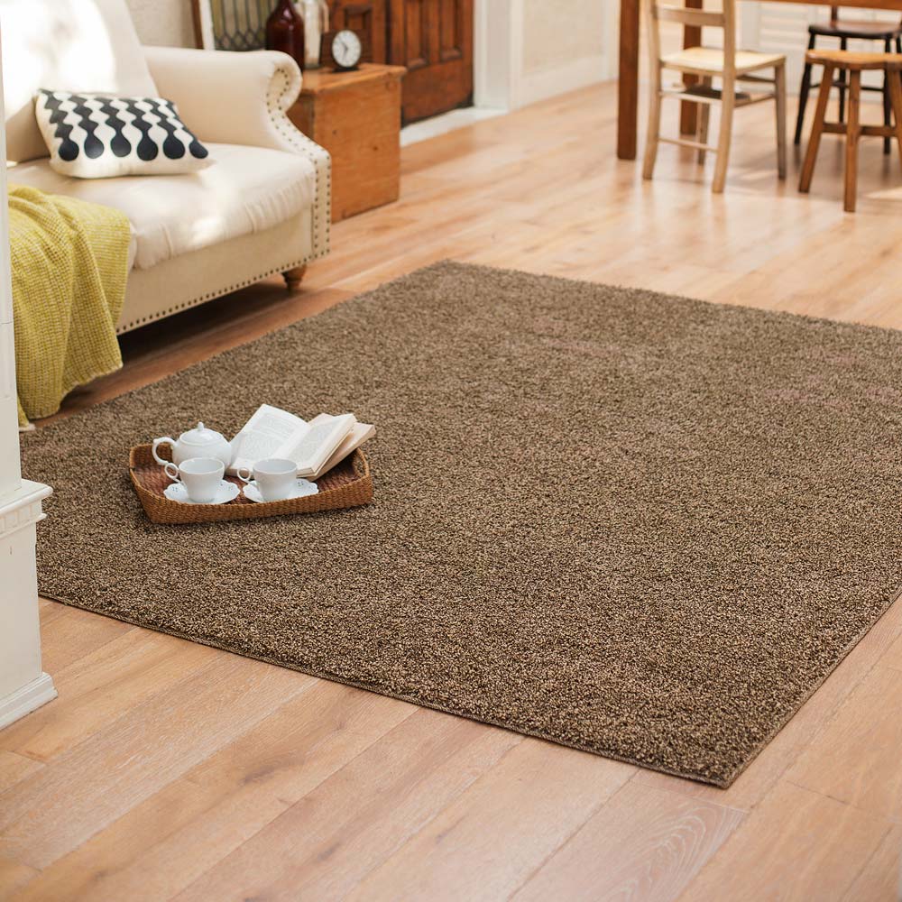 dinos（ディノス） ≪約190×190cm≫ 防ダニミックスシャギーラグ