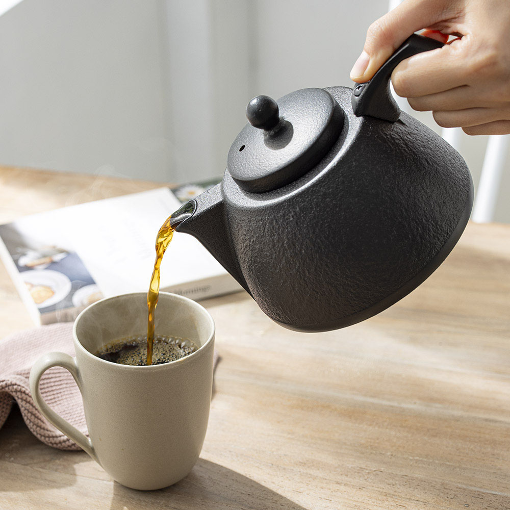 dinos（ディノス） カップ 茶こし付き IH対応 いいものプレミアム 鉄瓶