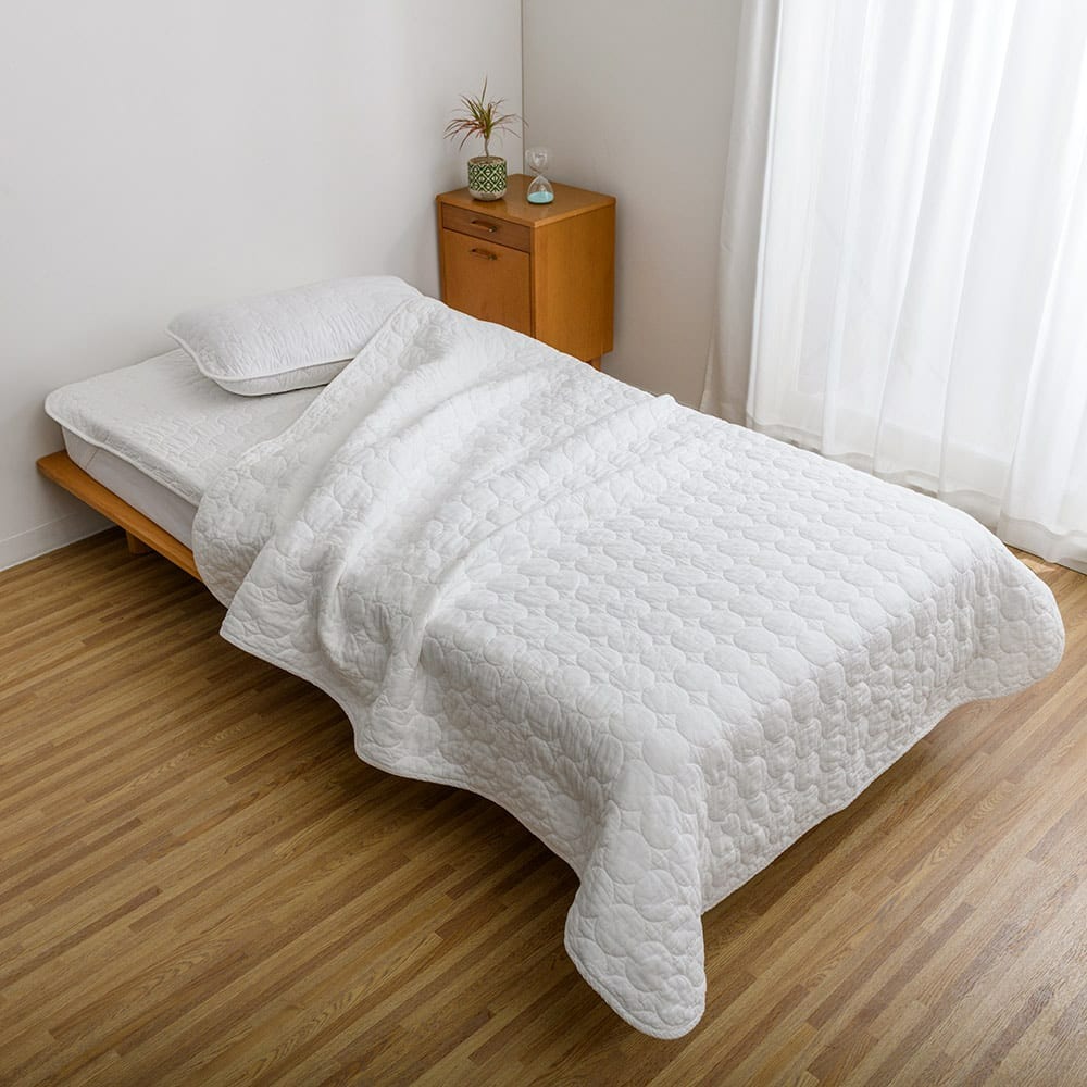 dinos（ディノス） 敷きパッド ベッドパッド ≪掛け敷き2点セット