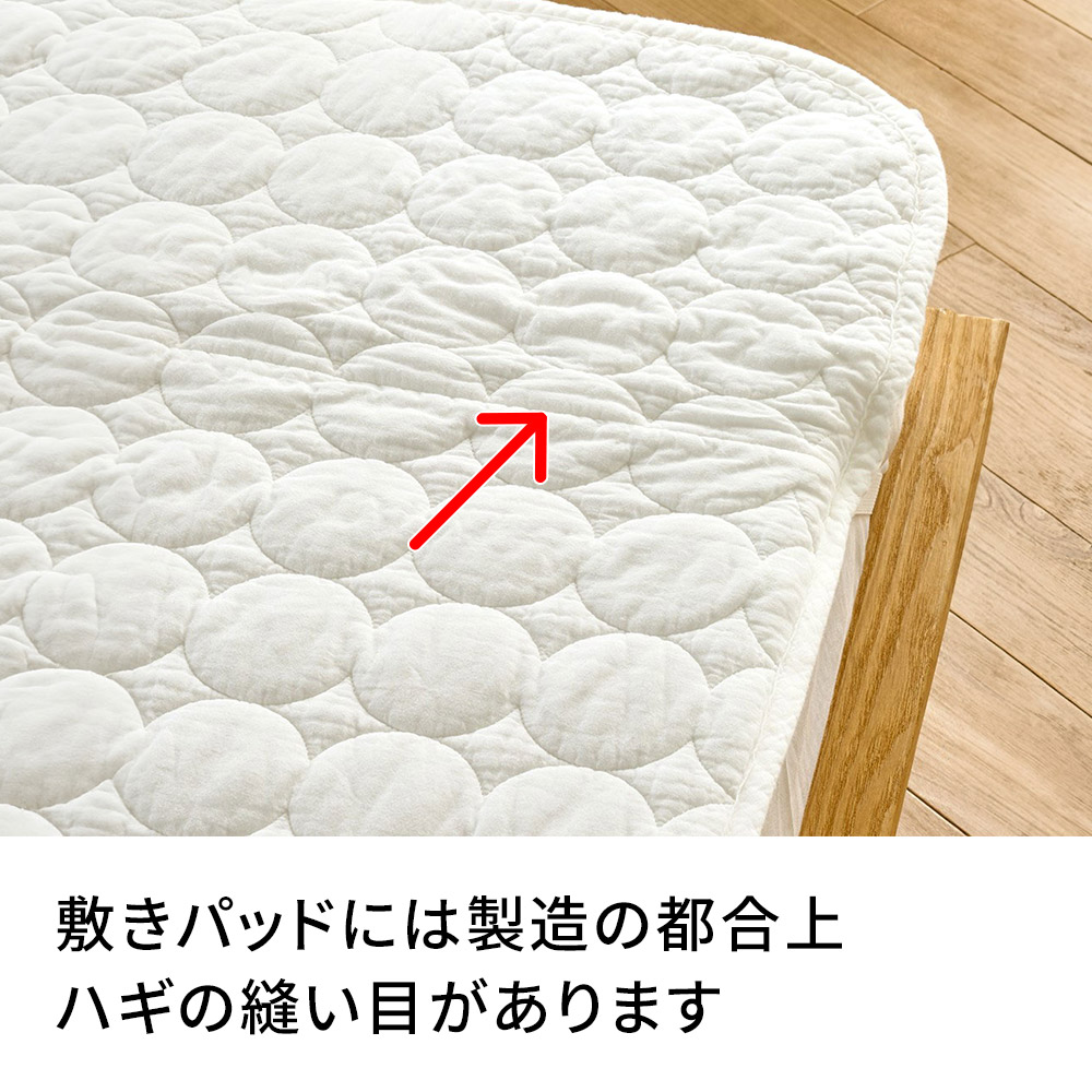 dinos（ディノス） ≪掛け敷き2点セット≫ パシーマ（R）EX 無地 お得