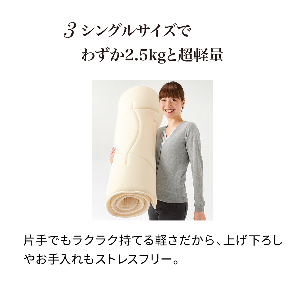 dinos（ディノス） 敷き布団 V-Lap テイジン 薄型 コンパクト 収納