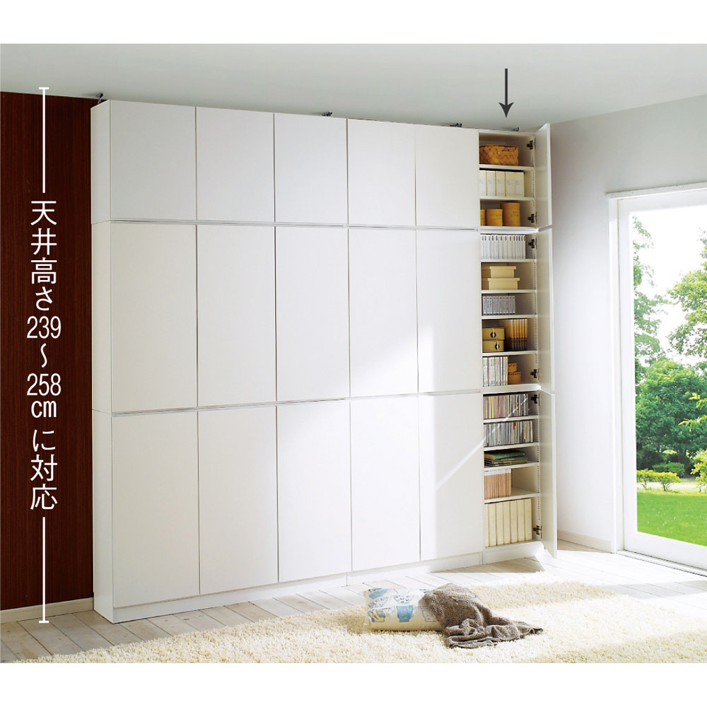 dinos（ディノス） 1cmピッチ薄型壁面書棚 奥行29.5cm 幅42cm 上置き高